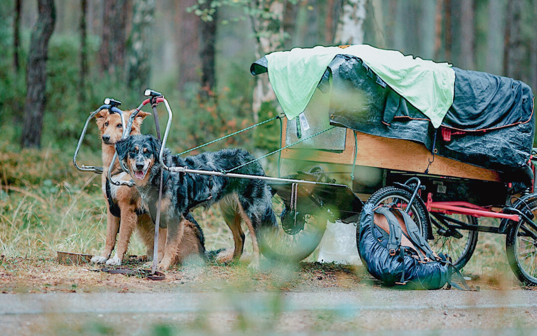 Ich bin mit einer Jugendlichen 400 km zu Fuß gegangen – was ich dabei über Beziehung, Verantwortung und echte Pädagogik gelernt habe
