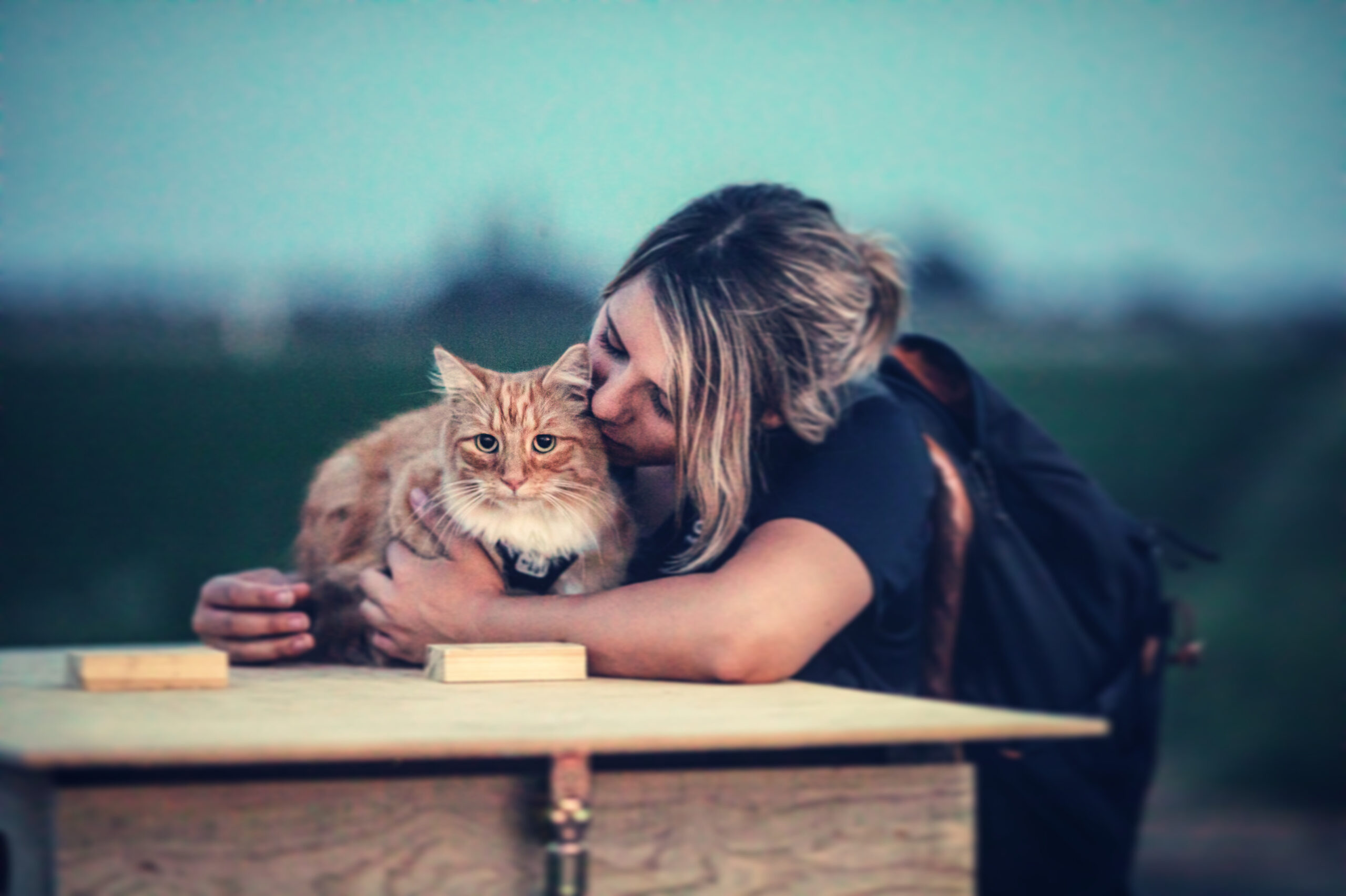 emotionale Tierfotografie; natürliche Porträtfotografie; authentische Outdoor-Shootings; kreative Fotoprojekte mit Herz; Mensch-Tier-Bindung Fotos; Fotoshooting mit Hund; Tiershooting Naturlicht; Tierfotografie draußen; Vanlife Fotografie Deutschland; Fotografie im Vanlife; Reiseprojekte Jugendhilfe; erlebnispädagogische Reisen; pädagogisches Vanlife Projekt; alternative Jugendhilfe unterwegs; Reisebegleitung für junge Menschen; soziale Arbeit on the road; systemische Projekte mit Jugendlichen; Jugendhilfe mobil; intensive Einzelbetreuung Reisen; Auszeitprojekte mit Wirkung; systemische Beratung mit Jugendlichen; Hilfe zur Erziehung systemisch; Beratung auf Augenhöhe; individuelle Fallbegleitung; lösungsorientierte Gesprächsführung; systemisches Arbeiten Jugendhilfe; Coaching mit Tieren; pädagogische Arbeit systemisch; Selbstwirksamkeit stärken; systemische Fotografiearbeit Lia Falinski, Irland, Katze, Frankreich, Reisen, Jugendliche, Maribel Todt, GNTM 2012, Tanja Riedinger, Nativehorses, Bettina Rittler