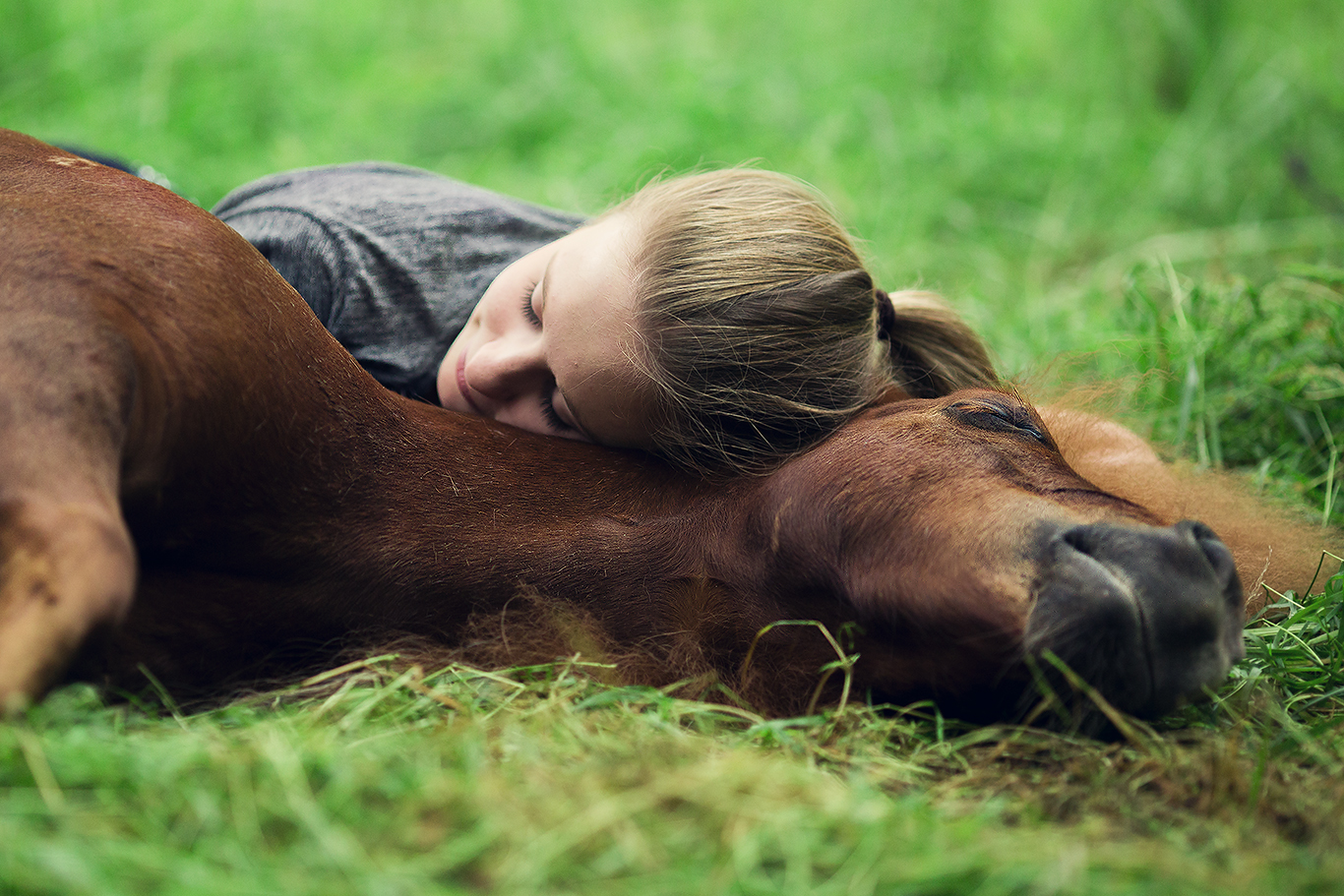 emotionale Tierfotografie; natürliche Porträtfotografie; authentische Outdoor-Shootings; kreative Fotoprojekte mit Herz; Mensch-Tier-Bindung Fotos; Fotoshooting mit Hund; Tiershooting Naturlicht; Tierfotografie draußen; Vanlife Fotografie Deutschland; Fotografie im Vanlife; Reiseprojekte Jugendhilfe; erlebnispädagogische Reisen; pädagogisches Vanlife Projekt; alternative Jugendhilfe unterwegs; Reisebegleitung für junge Menschen; soziale Arbeit on the road; systemische Projekte mit Jugendlichen; Jugendhilfe mobil; intensive Einzelbetreuung Reisen; Auszeitprojekte mit Wirkung; systemische Beratung mit Jugendlichen; Hilfe zur Erziehung systemisch; Beratung auf Augenhöhe; individuelle Fallbegleitung; lösungsorientierte Gesprächsführung; systemisches Arbeiten Jugendhilfe; Coaching mit Tieren; pädagogische Arbeit systemisch; Selbstwirksamkeit stärken; systemische Fotografiearbeit Lia Falinski, Irland, Katze, Frankreich, Reisen, Jugendliche, Maribel Todt, GNTM 2012, Tanja Riedinger, Nativehorses, Bettina Rittler, Maja Hegge, Minishetty Gijs, Mustang Makeover