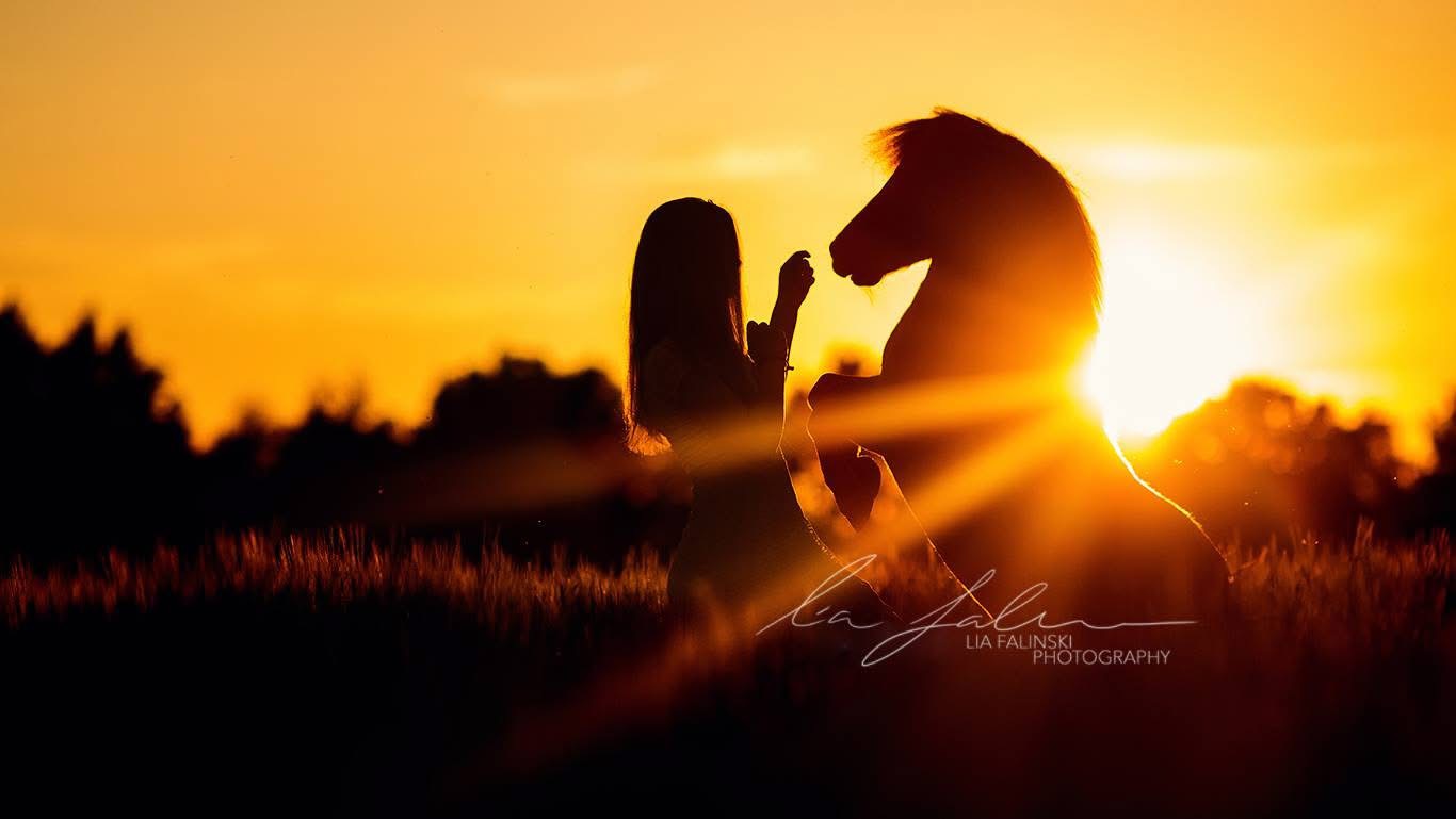 emotionale Tierfotografie; natürliche Porträtfotografie; authentische Outdoor-Shootings; kreative Fotoprojekte mit Herz; Mensch-Tier-Bindung Fotos; Fotoshooting mit Hund; Tiershooting Naturlicht; Tierfotografie draußen; Vanlife Fotografie Deutschland; Fotografie im Vanlife; Reiseprojekte Jugendhilfe; erlebnispädagogische Reisen; pädagogisches Vanlife Projekt; alternative Jugendhilfe unterwegs; Reisebegleitung für junge Menschen; soziale Arbeit on the road; systemische Projekte mit Jugendlichen; Jugendhilfe mobil; intensive Einzelbetreuung Reisen; Auszeitprojekte mit Wirkung; systemische Beratung mit Jugendlichen; Hilfe zur Erziehung systemisch; Beratung auf Augenhöhe; individuelle Fallbegleitung; lösungsorientierte Gesprächsführung; systemisches Arbeiten Jugendhilfe; Coaching mit Tieren; pädagogische Arbeit systemisch; Selbstwirksamkeit stärken; systemische Fotografiearbeit Lia Falinski, Irland, Katze, Frankreich, Reisen, Jugendliche, Maribel Todt, GNTM 2012, Tanja Riedinger, Nativehorses, Bettina Rittler, Maja Hegge, Minishetty Gijs, Mustang Makeover
